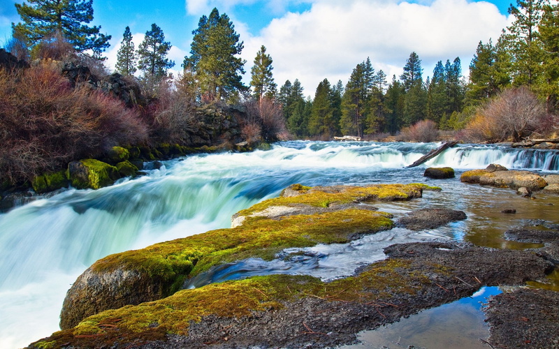1080P, download hd images of nature for pc 1920x1200