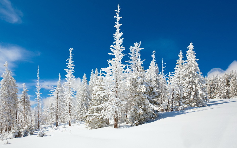 1080P, download hd images of nature for pc 1920x1200