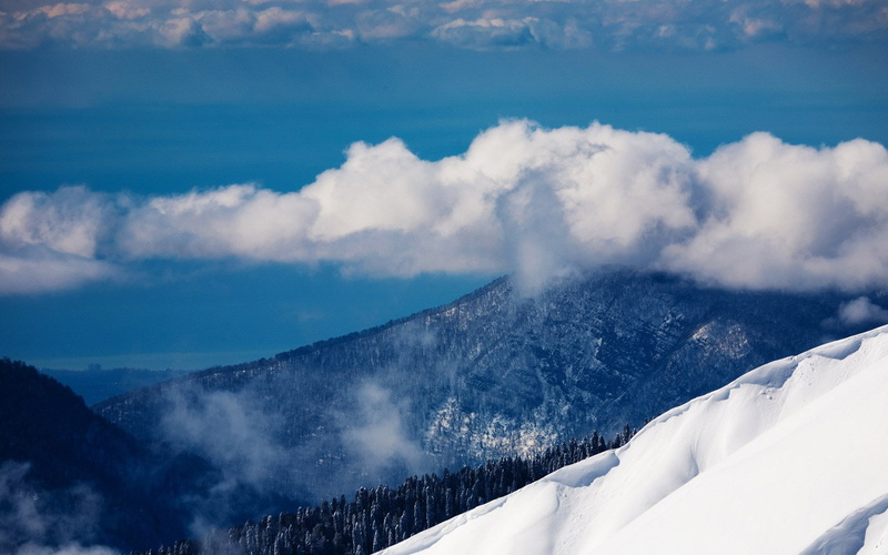 1080P, download hd images of nature for pc 1920x1200