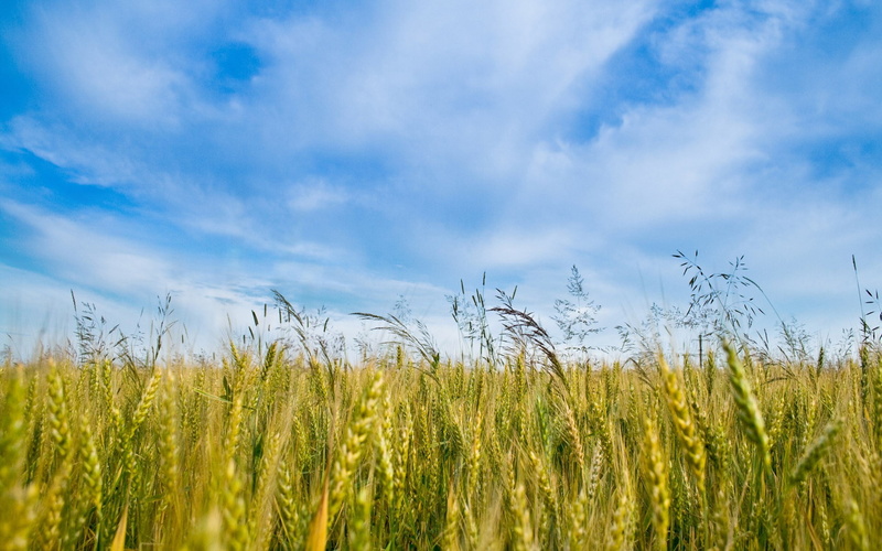 1080P, cool pics of nature hd background 1920x1200