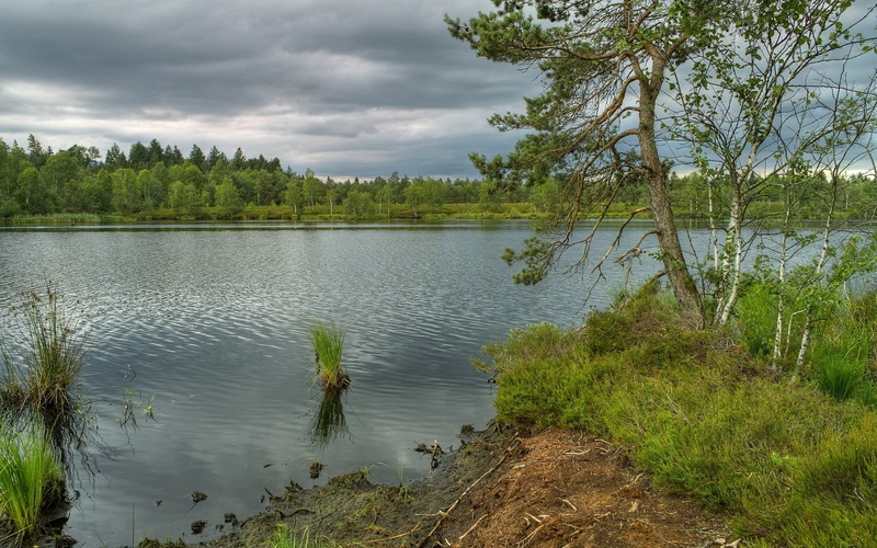cool backgrounds nature 1920x1200, 1080P