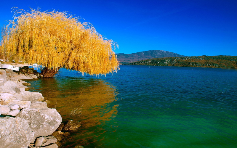 1080P, cool pics of nature hd background 1920x1200