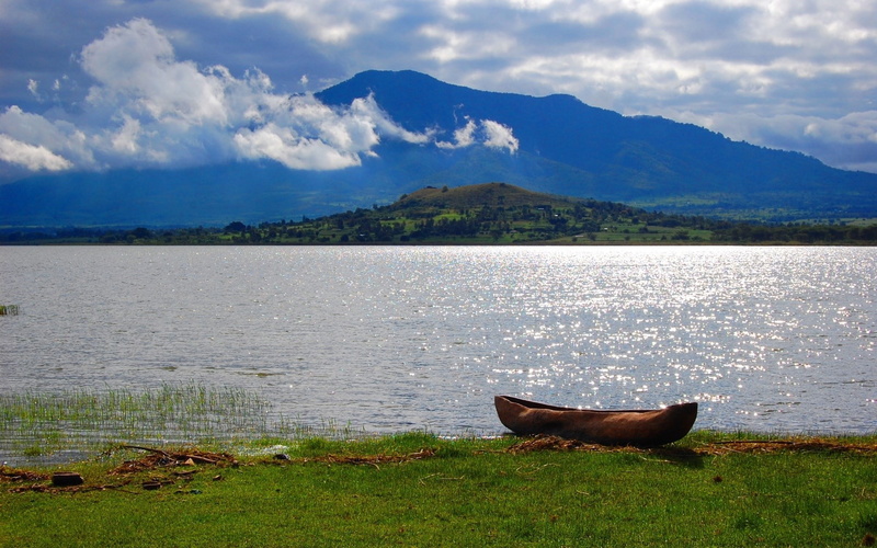cool backgrounds nature 1920x1200, sky, water, one animal, no people, animal themes, mountain, 1080P, tranquil scene, grass, animal, nature, plant, tranquility