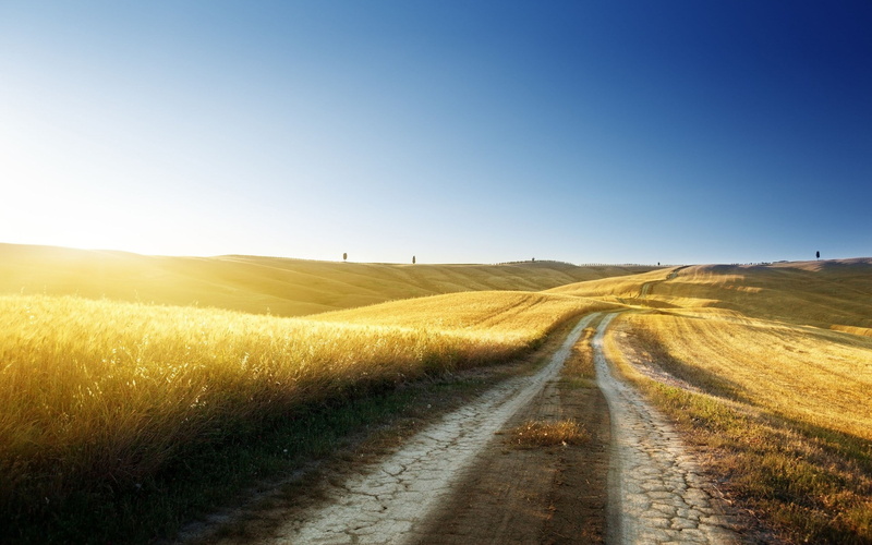 cool backgrounds nature 1920x1200, 1080P