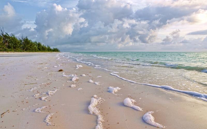 1080P, cool backgrounds nature 1920x1200