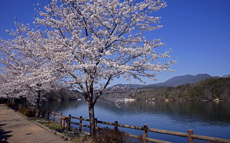 nature pictures for pc 1920x1200, 1080P