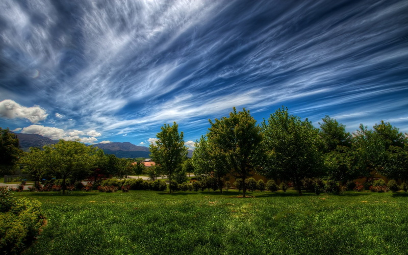 tranquility, day, nature, tranquil scene, cloud - sky, idyllic, nature hd picture for pc 1920x1200, sky, tree, no people, field, scenics - nature, plant
