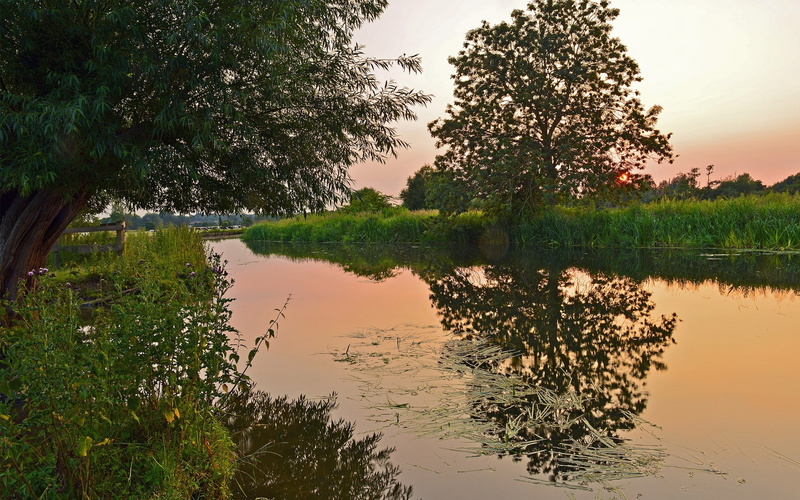 scenics - nature, non-urban scene, nature pictures for pc 1920x1200, green color, tranquil scene, idyllic, lake, beauty in nature, reflection, water, 1080P