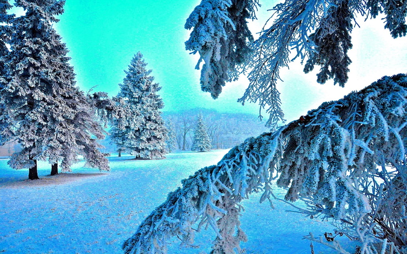 1080P, tranquil scene, landscape, outdoors, growth, frozen, snowcapped mountain, blue, nature pictures for pc 1920x1200, non-urban scene, beauty in nature