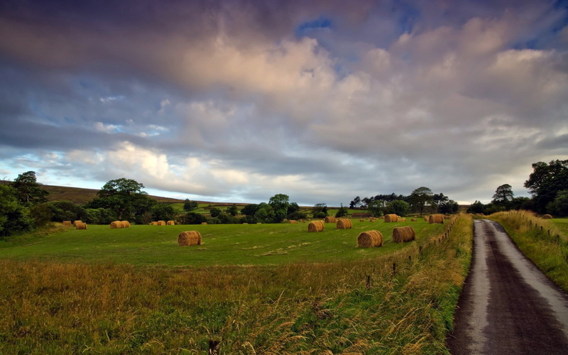 road, nature, 1080P, tranquility, field, tree, bale, nature pictures for pc 1920x1200, tranquil scene, agriculture, cloud - sky, rural scene, beauty in nature