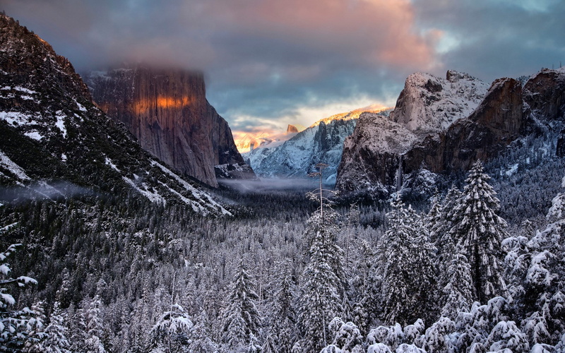 nature pictures for pc 1920x1200, coniferous tree, scenics - nature, rock, tranquil scene, landscape, snow, plant, 1080P, pine tree, cold temperature