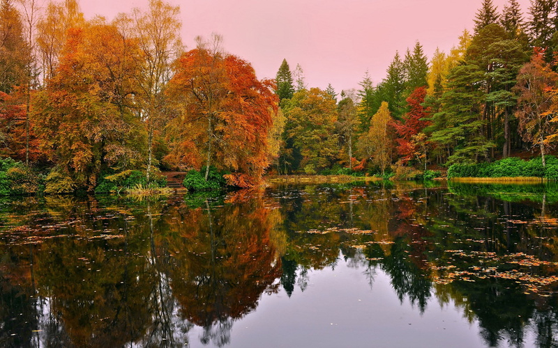 nature pictures for pc 1920x1200, 1080P