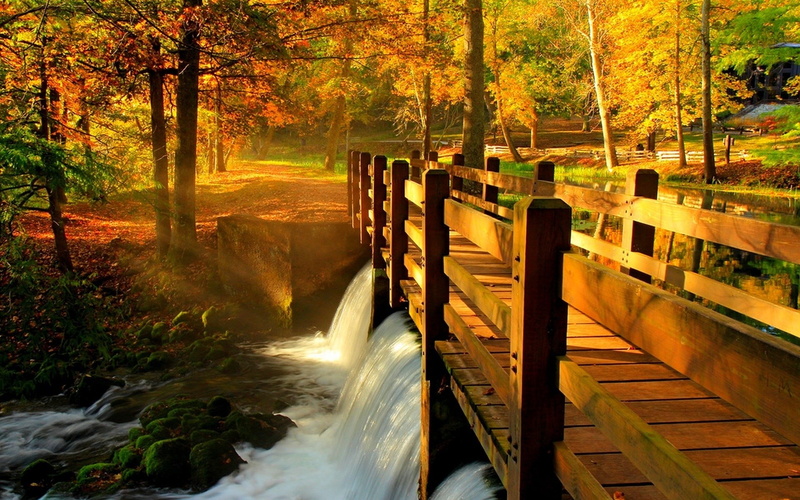 outdoors, scenics - nature, long exposure, plant, nature, 1080P, no people, power in nature, tree, autumn, water, river, motion, land, blurred motion