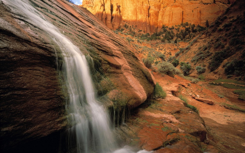 download hd images of nature for pc 1920x1200, 1080P