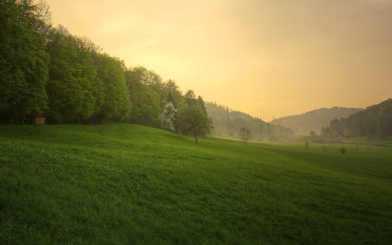 nature hd picture for pc 1920x1200, 1080P