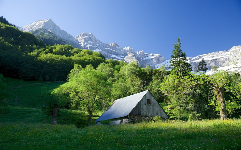 nature hd picture for pc 1920x1200, 1080P