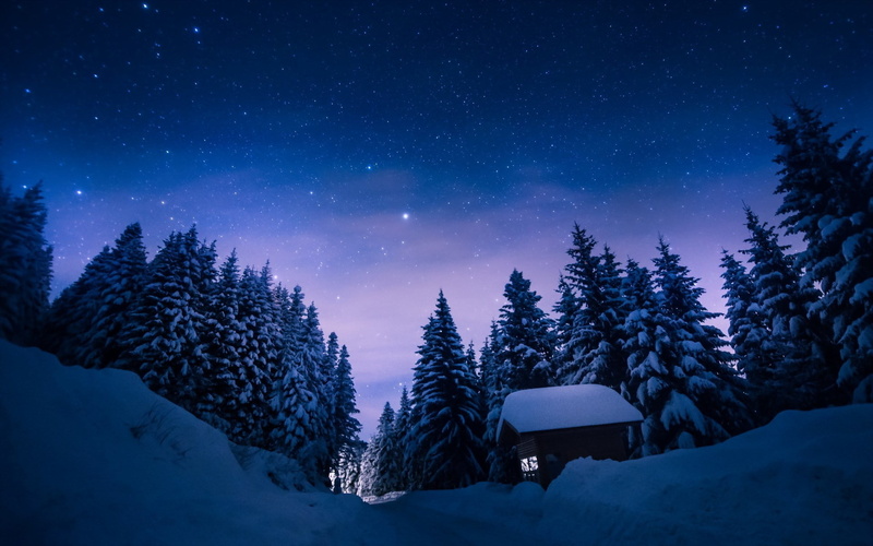 coniferous tree, star - space, astronomy, land, pine tree, cold temperature, tree, beauty in nature, sky, growth, built structure, snow, night, scenics - nature