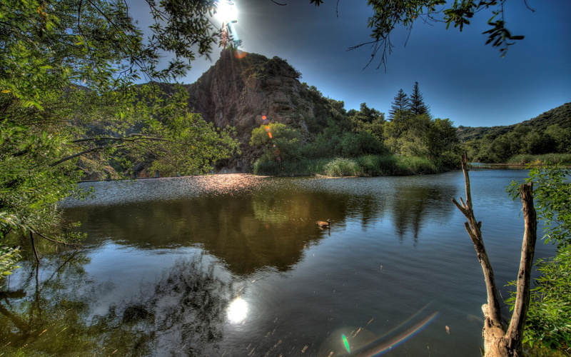 tranquility, reflection, scenics - nature, day, nature hd picture for pc 1920x1200, idyllic, growth, water, lake, plant, land, tranquil scene, 1080P, nature