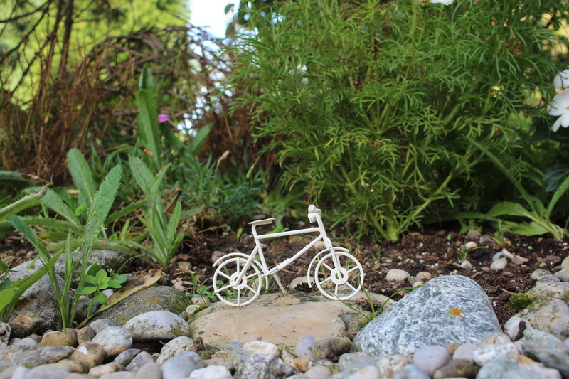 2K, mini garden, bike ride, cycle, nature, mode of transportation, green color, tree, more, bicycle, healthy, holiday, leisure, recovery, no people, sport