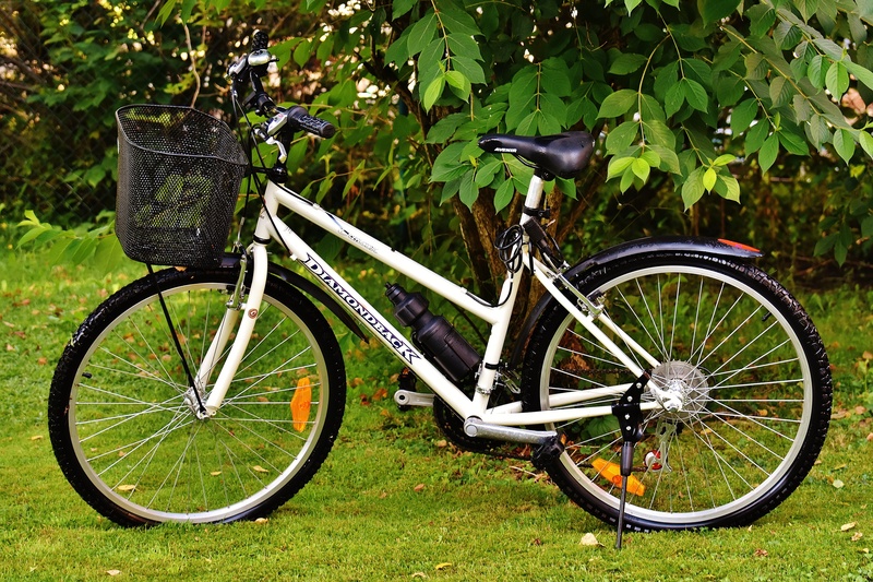 healthy, green color, locomotion, cycling, growth, meadow, bicycle, environment, transportation, sunlight, outdoors, field, stationary, grass, plant part