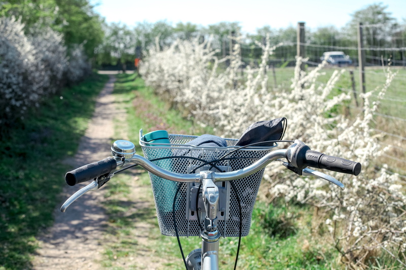 bike, metal, bike ride, 5K, leisure, plant, land vehicle, fun, bicycle, handlebar, more, mode of transportation, nature, day, field, handle, road, parking