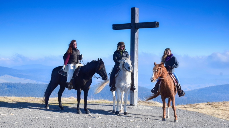 horseback riding tour, more, nature, horses, outdoors, sky, human, 5K, real people, full length, ride, herbivorous, day, landscape, reiter, horse, women