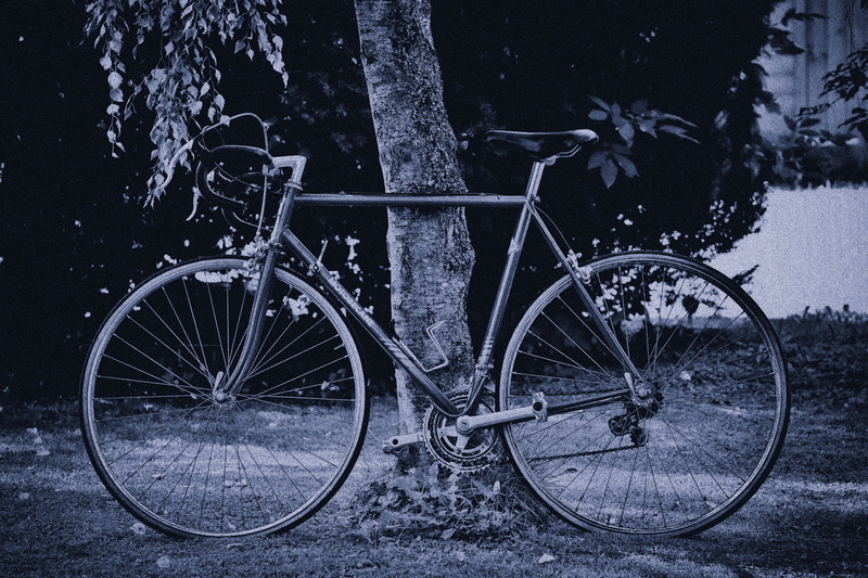 tree, cycle, transportation, mode of transportation, leisure, bicycle, stationary, wheels, parking, architecture, cycling, growth, land vehicle, bike ride