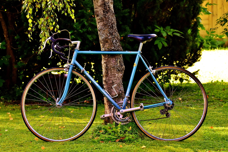 healthy, forest, bicycle, parking, grass, bike, leisure, growth, cycling, more, wheels, hard, wheel, daytime, mode of transportation, land vehicle, 5K