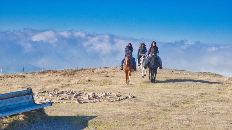 vertebrate, domestic, adult, group of animals, outdoors, group of people, beauty in nature, landscape, nature, domestic animals, clouds, more, women, ride