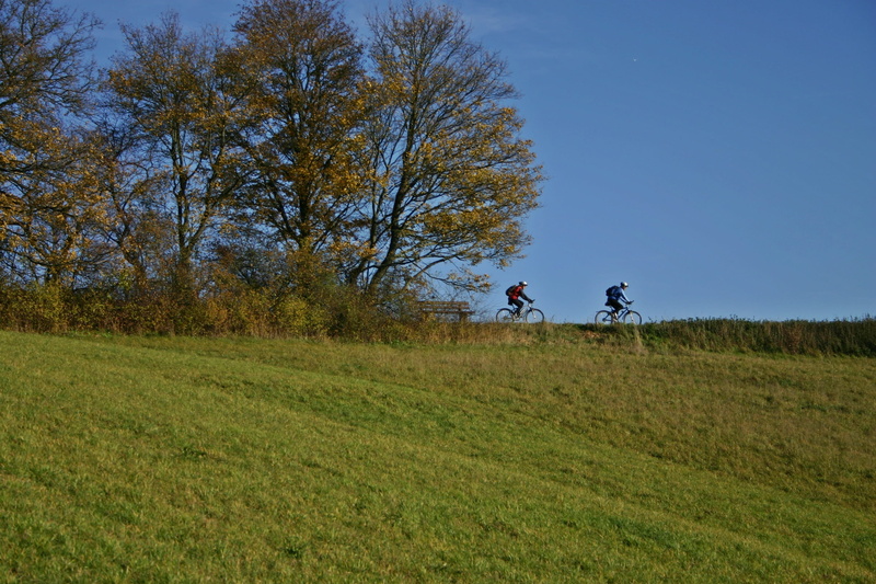 day, bicycle tour, bank, tree, land, riding, outdoors, baden württemberg, Human, men, tour, Cycling, Cyclists, one animal, lifestyles, plant, cycle, away