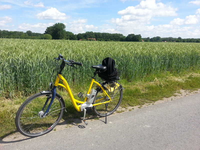 2K, outdoors, environment, Bike Ride, Tour, transportation, motorized, cycle, beauty in nature, cloud - sky, leisure, growth, locomotion, bicycle, plant