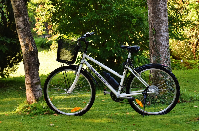 bicycle, environment, nature, land vehicle, trunk, more, tree, stationary, grass, two wheeled vehicle, bike, park, land, bike ride, healthy, growth, sport