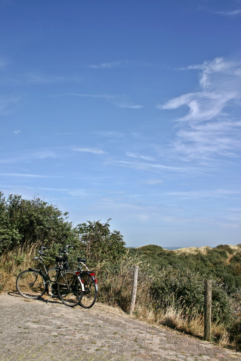 field, holiday, zeeland, dune landscape, schouwen-duiveland, land, plant, sky, transportation, bike, island, tree, more, non-urban scene, coast, dune vegetation