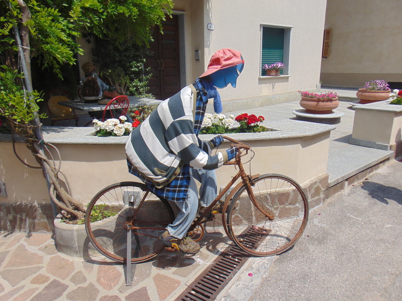 bicycle, plant, day, casual clothing, adult, land vehicle, person, one Person, mode of transportation, original, bike ride, transportation, funny, biker