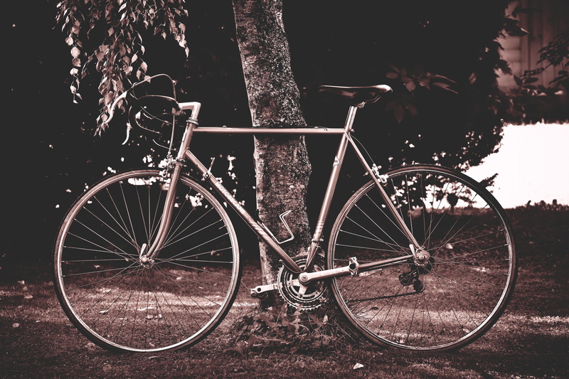 nature, outdoors, wheels, 5K, bicycle tour, leisure, metal, sport, parking, bike ride, healthy, bicycles, plant, day, field, mode of transportation, spoke