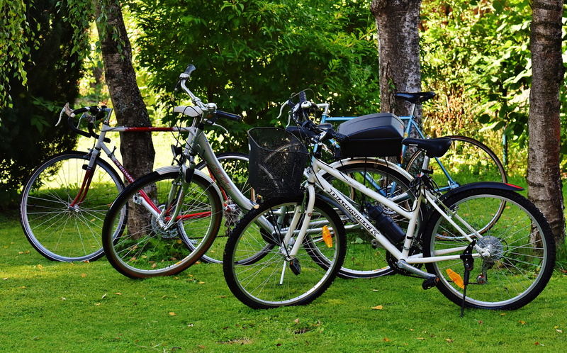 bicycles, bicycle, plant, more, meadow, stationary, grass, bicycle tour, land vehicle, nature, 5K, cycle, no people, healthy, day, wheel, leisure, tree trunk