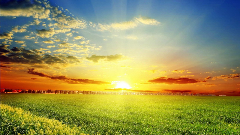 bright, field, scenics - nature, no people, beauty in nature, rural scene, tranquil scene, sunlight, land, plant, brightly lit, 1080P, idyllic, environment