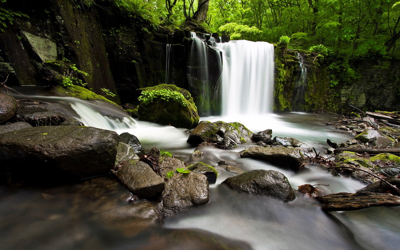 1080P, computer  desktop background hd nature pics 1920x1200