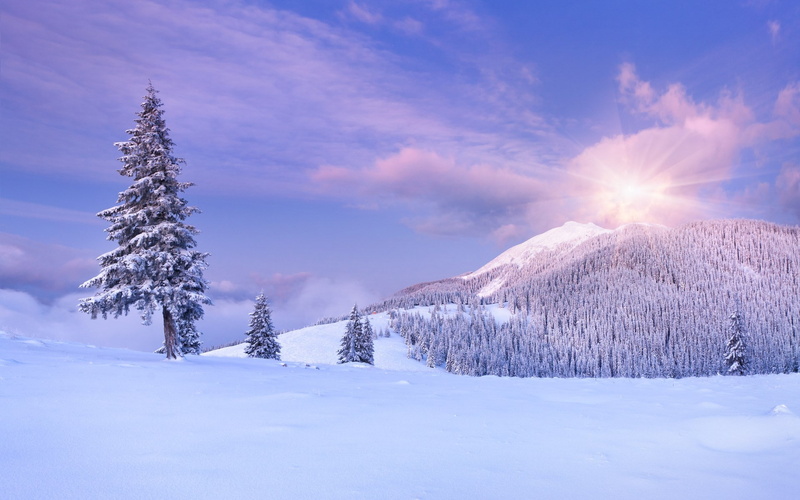 nature screen backgrounds 1920x1200, 1080P