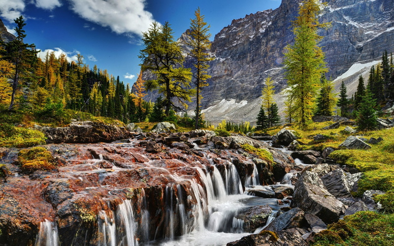 hd desktop backgrounds nature 1920x1200, 1080P