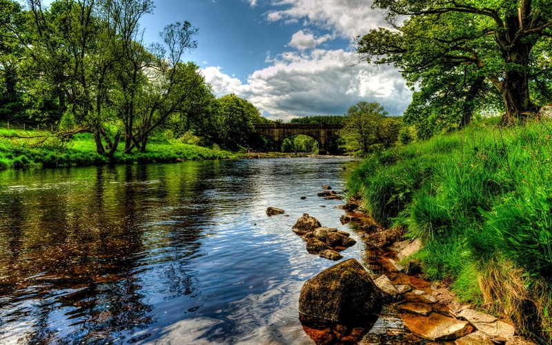 growth, outdoors, tranquil scene, scenics - nature, cloud - sky, lake, day, water, idyllic, 1080P, tree, sky, tranquility, non-urban scene, hd desktop backgrounds nature 1920x1200