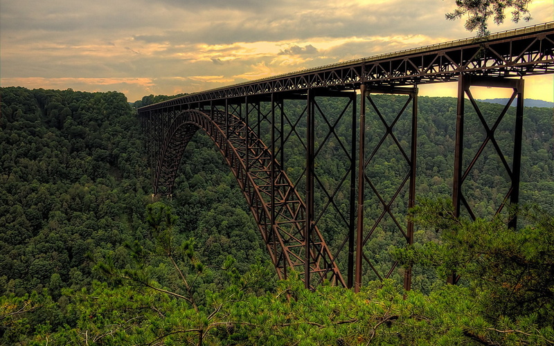 built structure, beauty in nature, bridge, 1080P, growth, nature, railway bridge, low angle view, architecture, architectural column, cloud - sky, outdoors