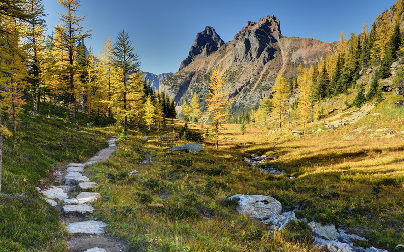 solid, mountain, rock - object, 1080P, nature, tranquility, rock, formation, outdoors, environment, scenics - nature, coniferous tree, day, land, tranquil scene