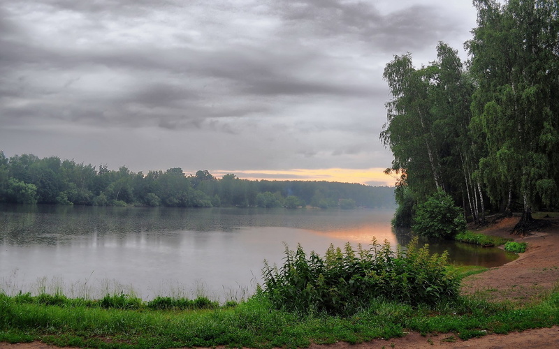 day, reflection, 1080P, idyllic, outdoors, scenics - nature, plant, tranquil scene, cloud - sky, sky, water, non-urban scene, growth, green color, beauty in nature