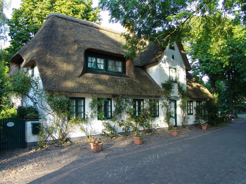 nature, no people, growth, building, day, residential district, building exterior, holstein, built structure, thatched, mecklenburg, architecture, thatched roof