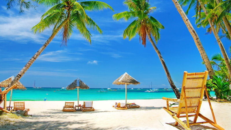 nature, beach, palm tree, scenics - nature, beauty in nature, tree, coconut palm tree, tranquility, palm trees, land, no people, sea, tranquil scene, 1080P