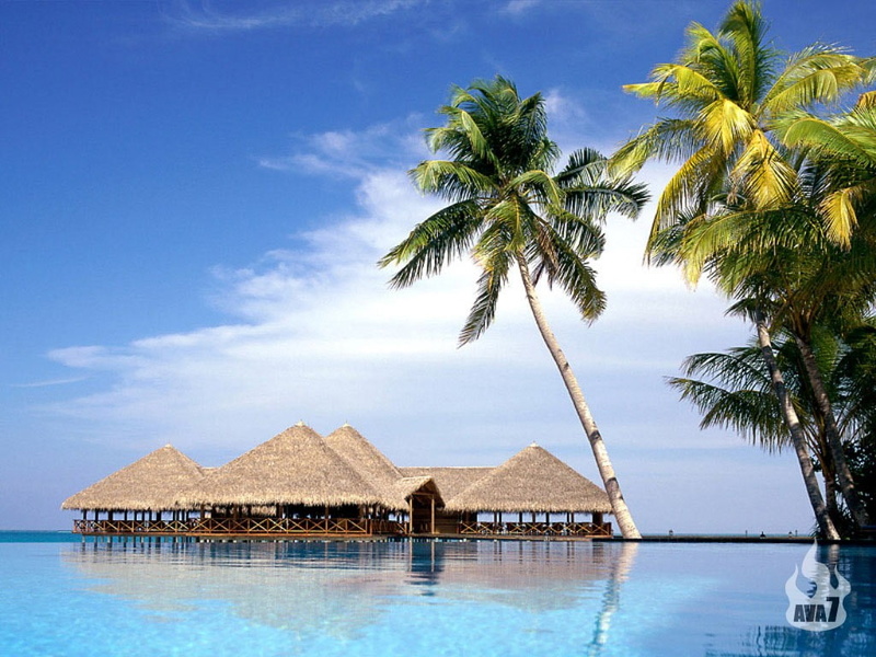 swimming pool, roof, outdoors, beauty in nature, 480P, no people, residential district, architecture, sea, building, building exterior, nature, coconut palm tree