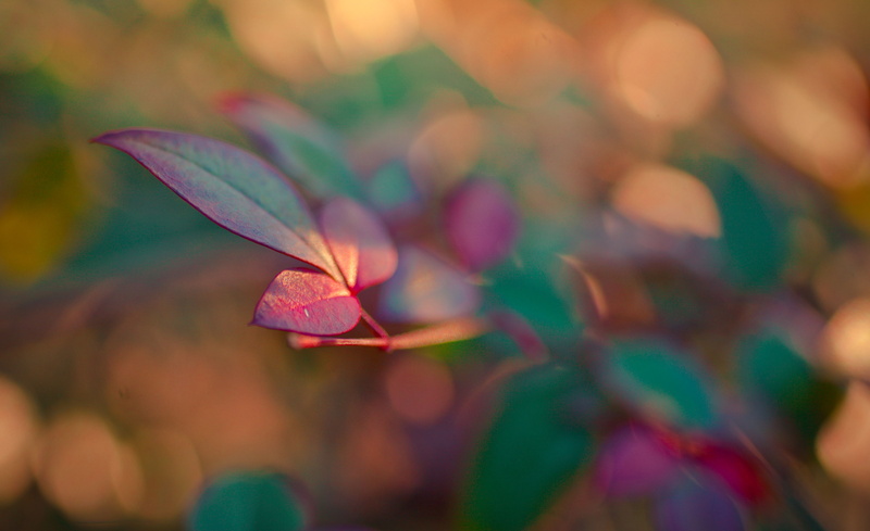 macro, 2K, forgotten, slowly, heyisti