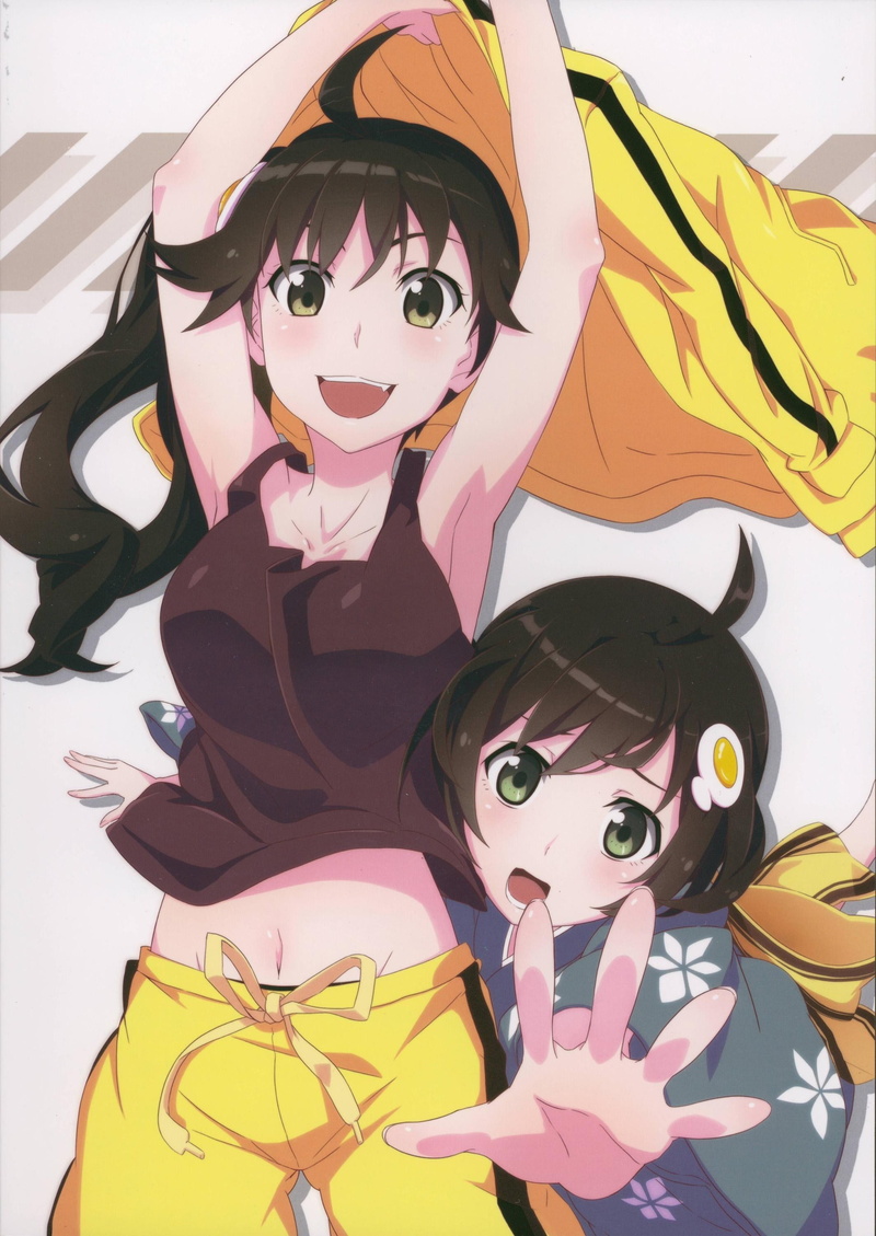 tsukihi, araragi, anime, girls, karen, nisemonogatari, 2K