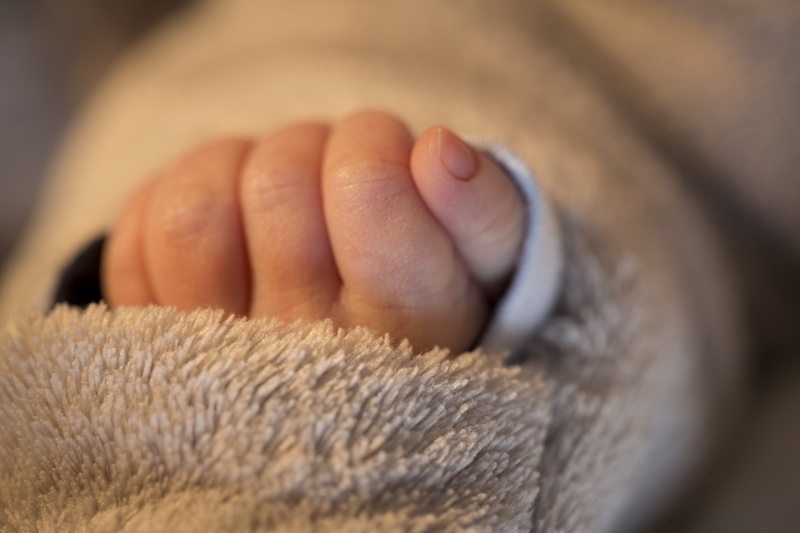 baby, softness, love, body part, childhood, animal body part, fingers, innocence, newborn, birth, babyhood, care, indoors, vulnerability, selective focus